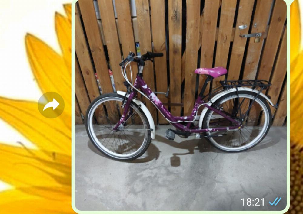 Fahrrad verkaufen FALTER Lila mit Schmetterlingen  Ankauf